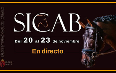 OneToro emitirá en directo por primer vez las mejores pruebas del SICAB