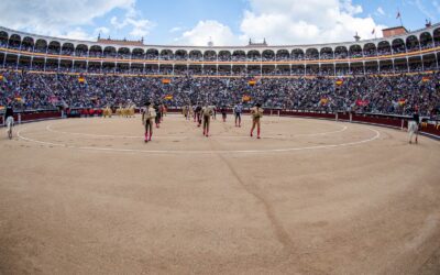 La (des)unión del sector