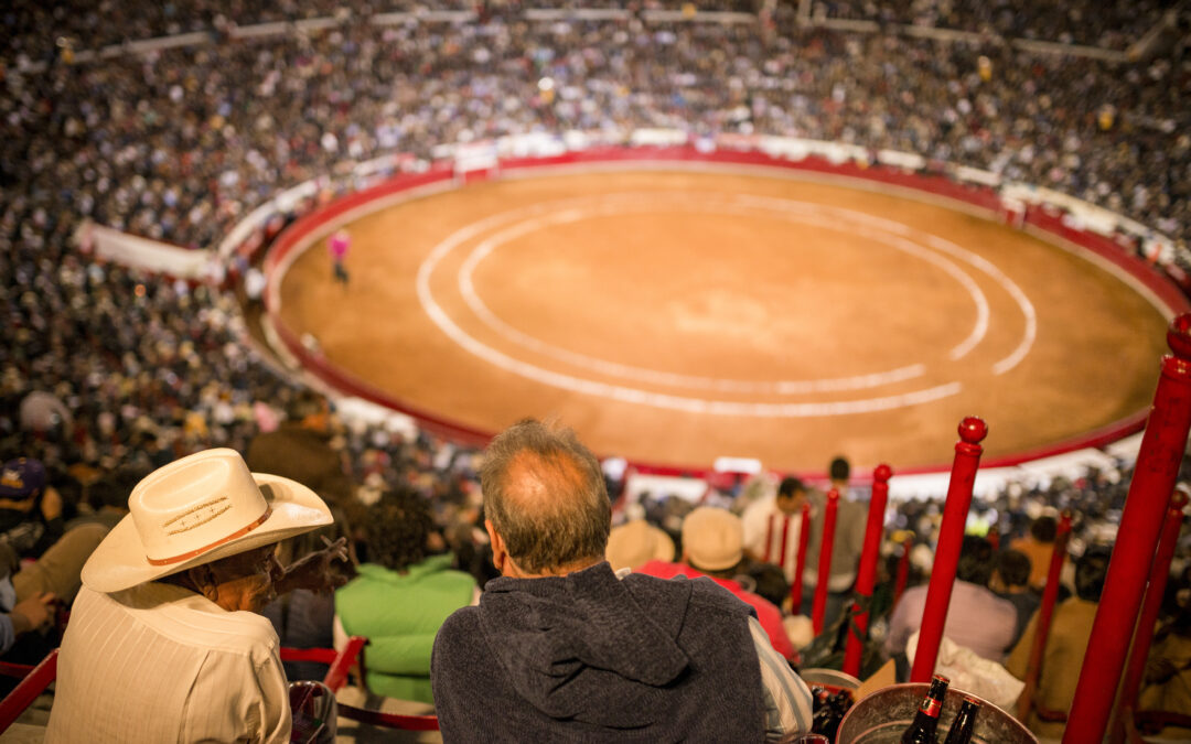 La cruda realidad de la tauromaquia