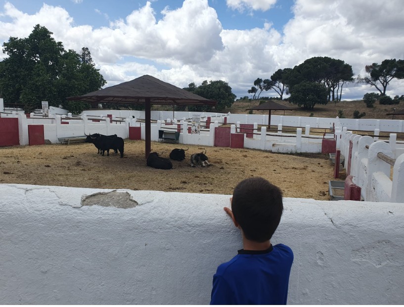 El milagro de la generación robada (De la Venta de Antequera a El Batán)