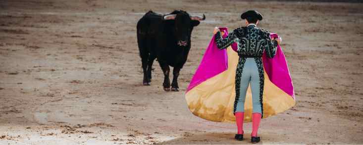 Así se está rejuveneciendo el escalafón taurino: los datos que lo demuestran