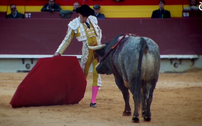 Ginés Marín, el torero de Paco Camino