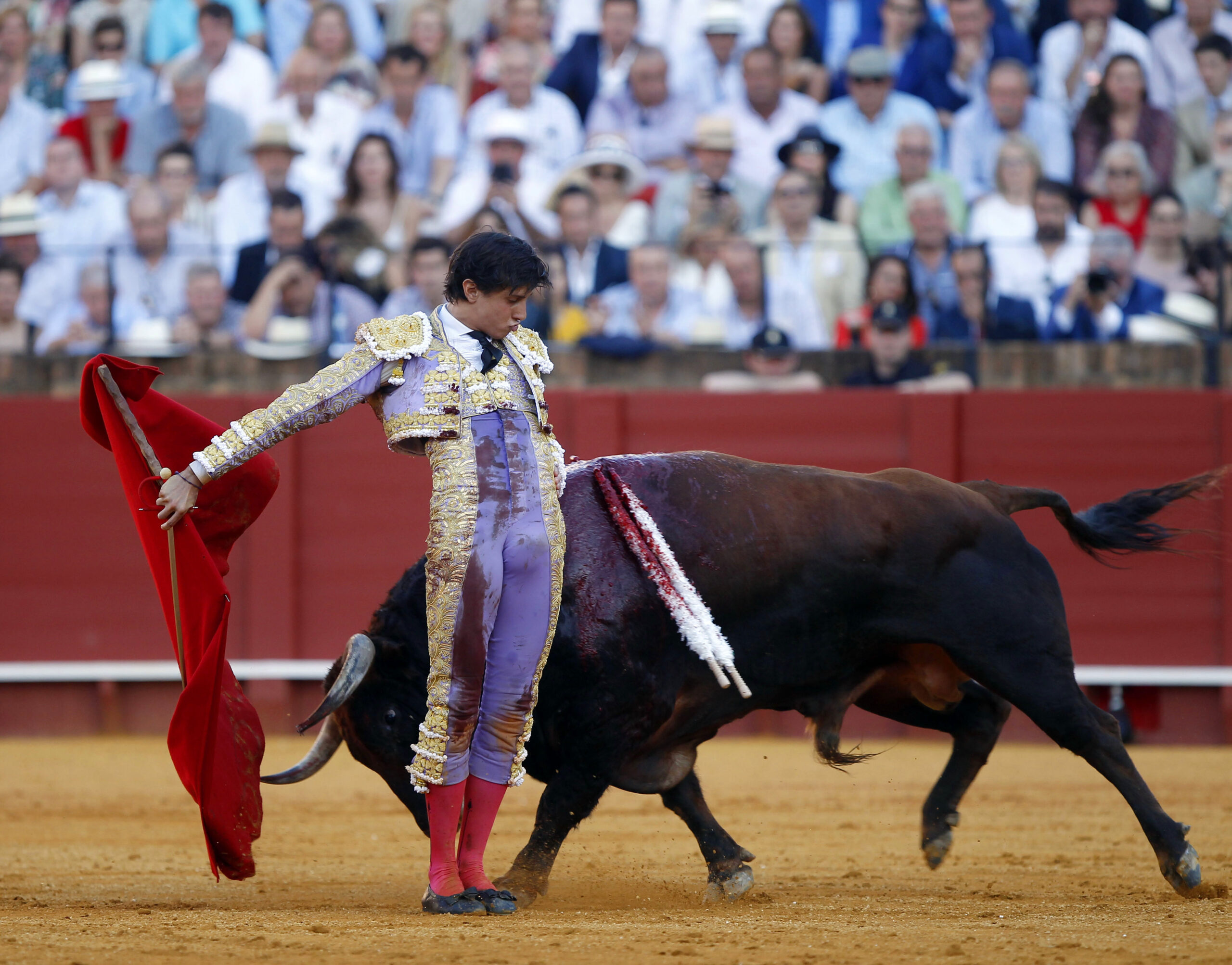 Sevilla toros directo television