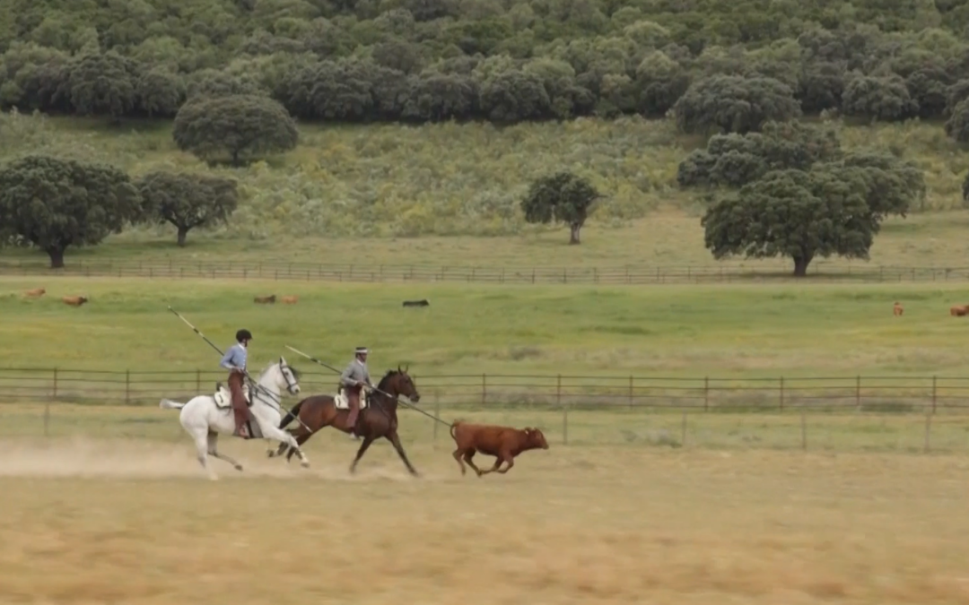 OneToro revoluciona El Campeonato de Faenas y Doma de Campo con un despliegue histórico