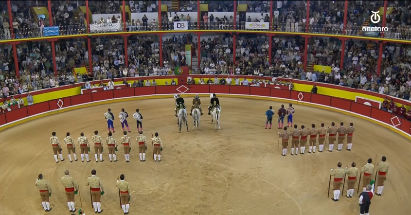 Nazaré rejones toros